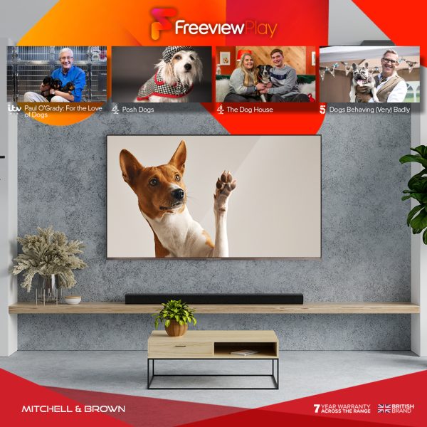 The best free TV shows for dog lovers - blog post image